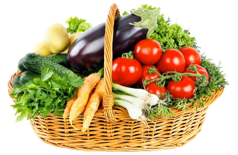 تأمین و صادرات صیفی‌جات ممتاز به بازارهای جهانی
