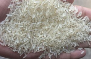 PK386 Sella Rice